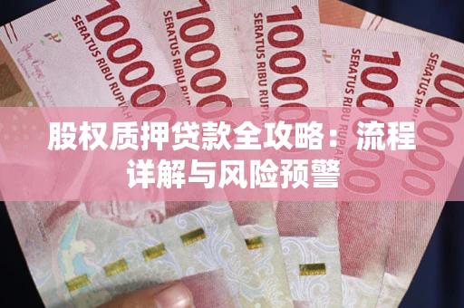 北京股权质押贷款全攻略：流程详解与风险预警