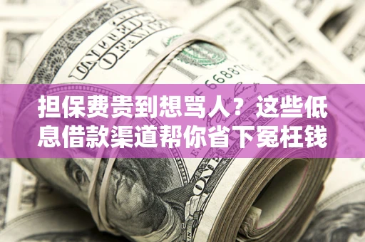 北京担保费贵到想骂人？这些低息借款渠道帮你省下冤枉钱
