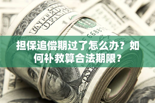 北京担保追偿期过了怎么办？如何补救算合法期限？