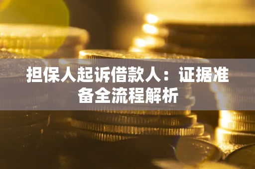北京担保人起诉借款人：证据准备全流程解析