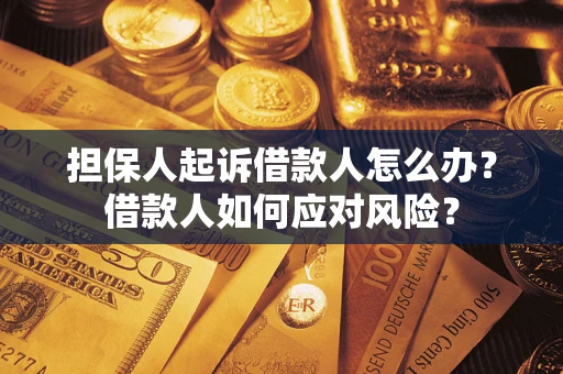 北京担保人起诉借款人怎么办？借款人如何应对风险？