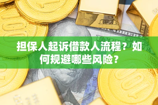 北京担保人起诉借款人流程？如何规避哪些风险？